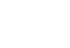 Logo Siam Elegance Beyaz